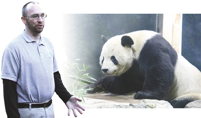 中国侨网狄尔瑞和熊猫“宝宝”的照片（合成）。 　　蔡华伟制图