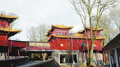 中国侨网