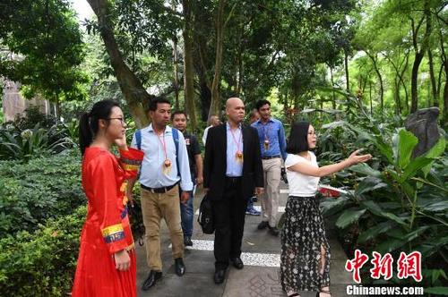 中国侨网图为柬埔寨主流媒体代表团在广西药用植物园内学习中草药知识。　俞靖　摄