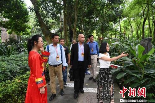 中国侨网图为柬埔寨主流媒体代表团在广西药用植物园内学习中草药知识。 俞靖 摄