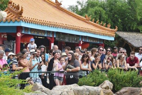 中国侨网资料图片:8月5日,在法国博瓦勒野生动物园,游客听工作人员介绍熊猫“妈妈”欢欢和幼崽的最新状况。新华社记者 李根兴 摄