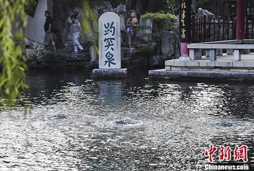 中国侨网9月6日，游客观赏趵突泉“三股水”。 中新社记者 张勇 摄
