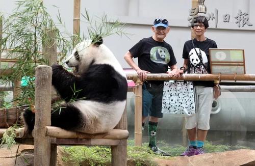 中国侨网威廉（左）和卡罗姆特地从曼谷飞到吉隆坡探望“暖暖”，他们对熊猫的热爱让他们对熊猫保育贡献一份力量，也因此结交了来自世界各地的熊猫爱好者。（马来西亚《星洲日报》）