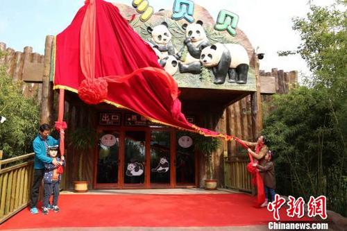 中国侨网济南野生动物世界熊猫馆26日开馆。图为开馆仪式。　宫玥雯　摄