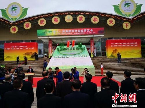 中国侨网第十一届海峡两岸港茶业博览会11月15日在福建省武夷山市开幕。 陈伟 摄