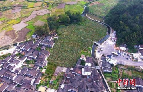 中国侨网资料图:俯瞰航拍江西婺源田园上的进士村——严田古村,这里从宋自清出了共二十七名进士。刘占昆 摄