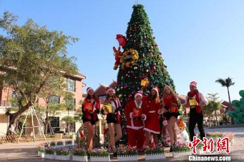 中国侨网厦门灵玲国际马戏城，打造原汁原味的圣诞节欢乐氛围。　林来生　摄