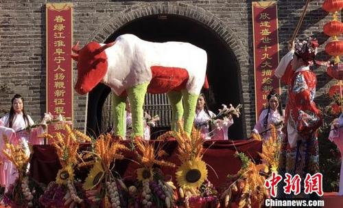 中国侨网江苏阜宁再现“打春牛”民俗。 谷华 摄