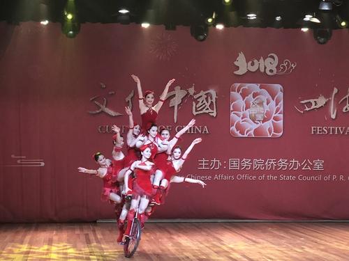 中国侨网资料图。四海同春现场。来源:人民网