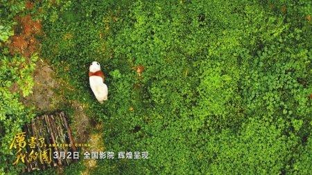 中国侨网《厉害了,我的国》中还可以看到国宝熊猫、川剧“变脸”等四川文化符号。