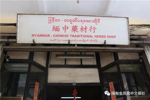 中国侨网缅中药材行 (缅甸金凤凰中文报微信公众号)