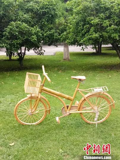 中国侨网陈长乐制作的“竹自行车”。　陈长乐　摄