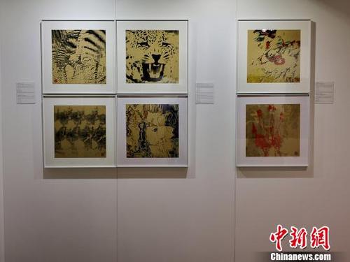 中国侨网傅文俊数绘摄影作品参展“艺术慕尼黑”　寄于文　摄