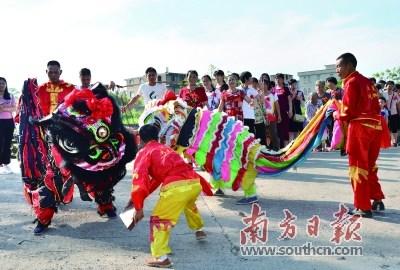 中国侨网村里舞动醒狮欢迎出嫁女回娘家过节。