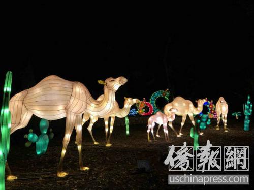 中国侨网孩子们在中国彩灯节上与舞狮互动。(美国《侨报》/翁羽 摄)