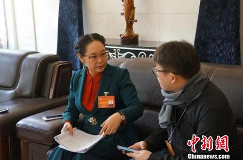 中国侨网天津市政协委员张荣华接受中新网记者专访。　钟欣　摄