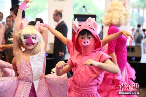 中国侨网2月1日傍晚，悉尼农历节（Sydney Lunar Festival）拉开帷幕。图为扮成可爱小猪的小朋友载歌载舞，向市民、游客恭贺猪年的到来。中新社记者 陶社兰 摄