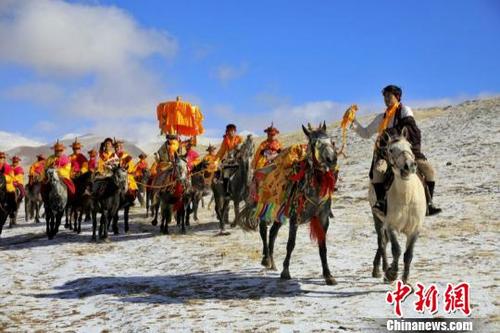 中国侨网各莫寺“莫郎节”活动上的马队。　夏雪东尔　摄