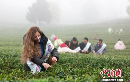 中国侨网图为外籍友人在重庆体验传统文化（资料图）。　巴南区委宣传部供图　摄