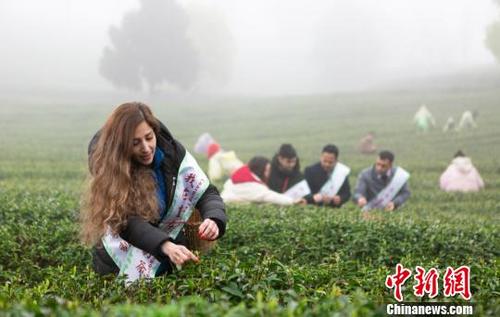 中国侨网图为外籍友人在重庆体验传统文化(资料图)。 巴南区委宣传部供图 摄