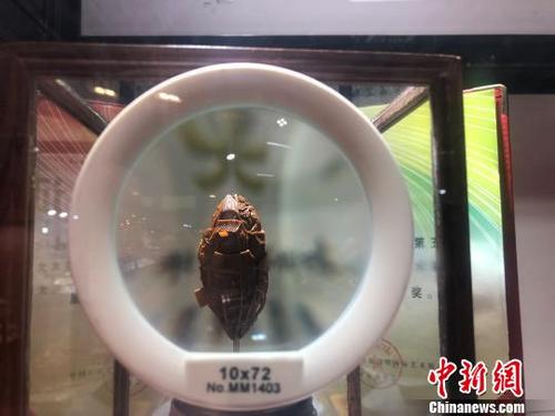 中国侨网图为放大镜显示下的作品“吊脚楼·山城记忆”。 徐雪 摄