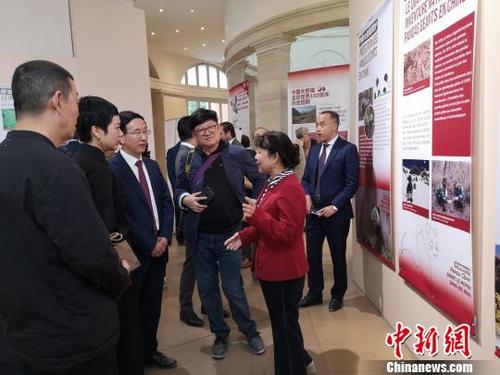中国侨网开幕式现场。 成都大熊猫繁育研究基地供图