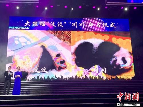 中国侨网命名仪式现场。 钟欣 摄