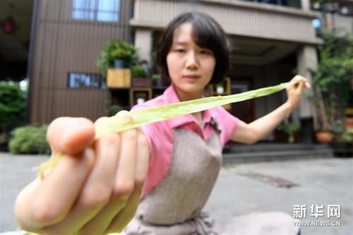 中国侨网6月12日,在重庆荣昌的天运夏布会馆,非遗传承人马琳沁在对夏布原料苎麻进行剥麻处理。(新华社/唐奕 摄)