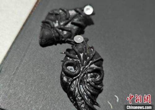 中国侨网图为甘肃手艺人二次创意马家窑文化，烧制的马家窑元素耳饰。（资料图）受访者供图