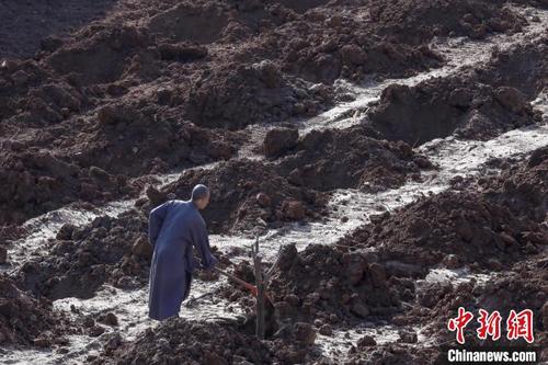 中国侨网正在种植树木的少林僧人。　少林寺供图