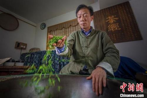 中国侨网图为樊生华在炒茶。贺勋毅摄