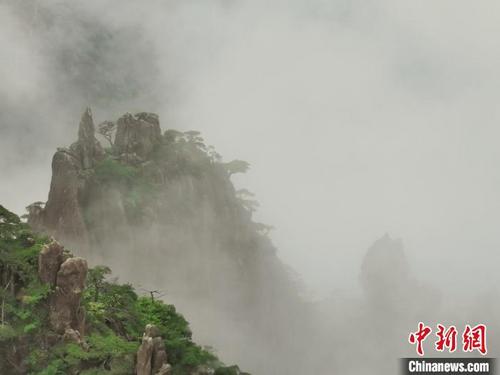 中国侨网13日，黄山云雾缭绕，绿意盎然　汪新平　摄