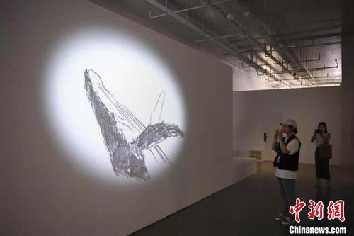 中国侨网观众拍摄法国艺术家德尔芬娜·吉古-马丁作品《穿墙大逃亡》。　杨华峰 摄