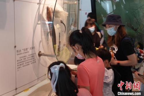中国侨网小观众在了解展品信息。郝凌宇 摄