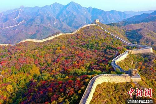 中国侨网 图为八达岭国家森林公园。　北京市园林绿化局供图