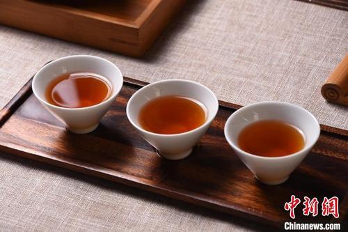 中国侨网云南茶技艺 受访人供图