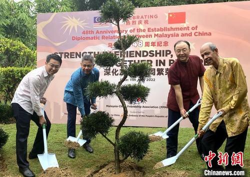 中国侨网欧阳大使（右二）、马吉德会长（右一）等植下友谊树　张玮琦　摄