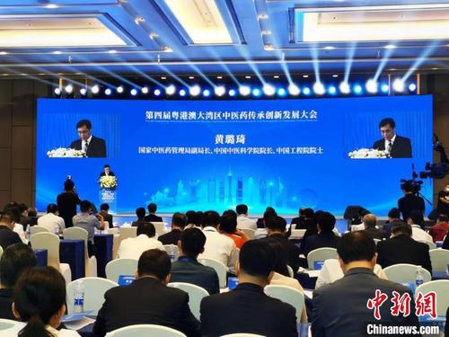 中国侨网国家中医药管理局副局长、中国中医科学院院长、中国工程院院士黄璐琦在大会致辞。 邓媛雯 摄