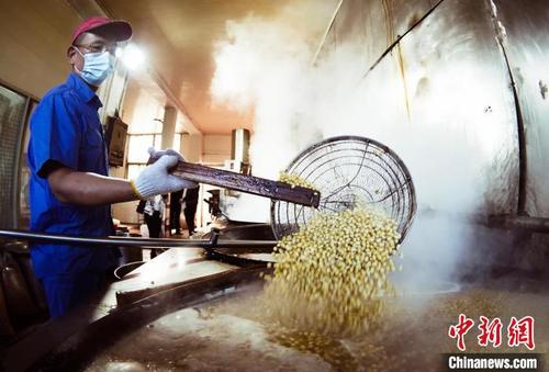 中国侨网南昌市东湖区扬子洲镇，辣酱生产工人正在罐装辣酱。　含章　摄