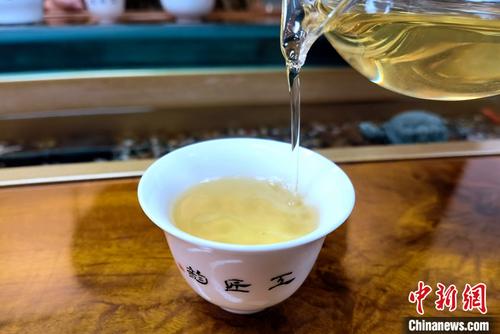 中国侨网资料图为2022年10月11日,冲泡后的安溪铁观音茶汤金黄明亮。 中新社记者 孙虹 摄