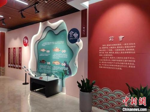 中国侨网图为贵州省地质博物馆推出的“年年有鱼”新春微展览。　周燕玲　摄