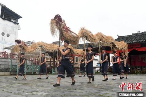 中国侨网图为仫佬族民众在舞草龙。　廖光福 摄