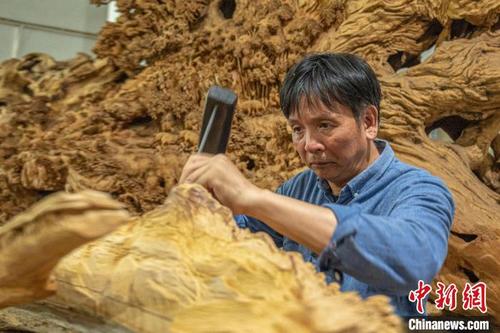 中国侨网郑春辉正在创作木雕作品。　蔡昊　摄