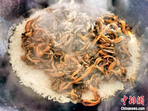 中国侨网将炒好的黄鳝肉丝平铺在即将煮熟的米饭上　李晓春　摄
