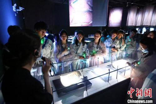 中国侨网在蓉港澳台侨大学生参观成都金沙遗址博物馆。　张永成　摄