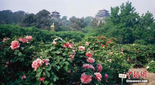 外国人永久居留证件便利化改革启动-中国侨网