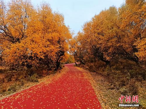 青海高原：秋日拾光，山河犹如童话世界
