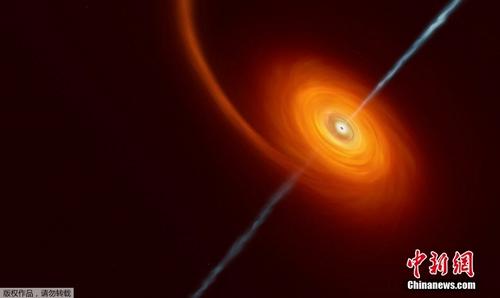 当恒星靠近黑洞 强烈引力挤压形成罕见圆盘