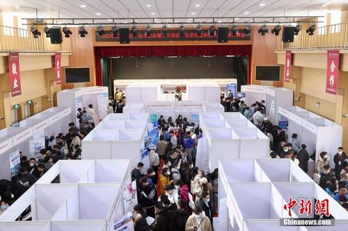2023年北京地区毕业生就业服务月活动启动
