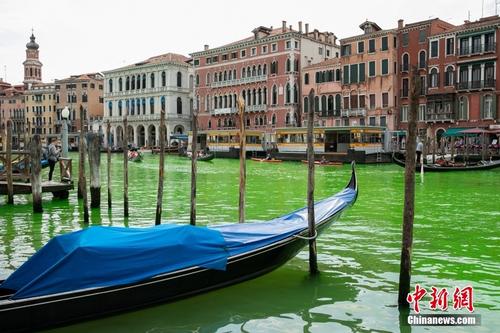 意大利威尼斯主河道部分水体变荧光绿色
